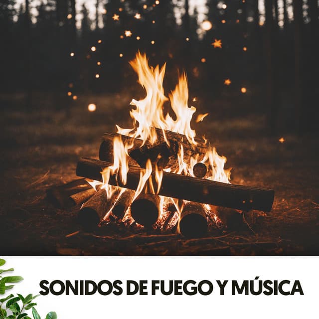 Sonidos de Fuego y Música: Llamas de paz - Relajacion
