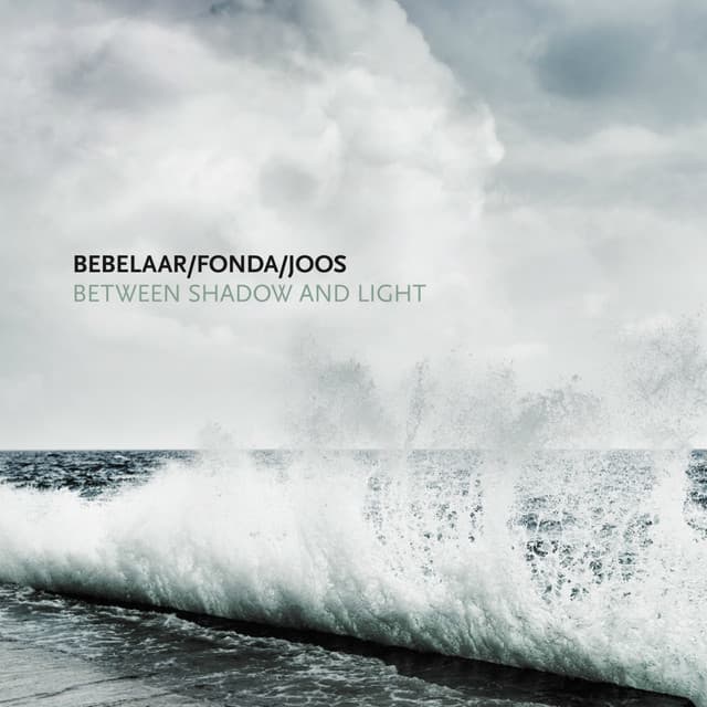 Between Shadow and Light - Patrick Bebelaar