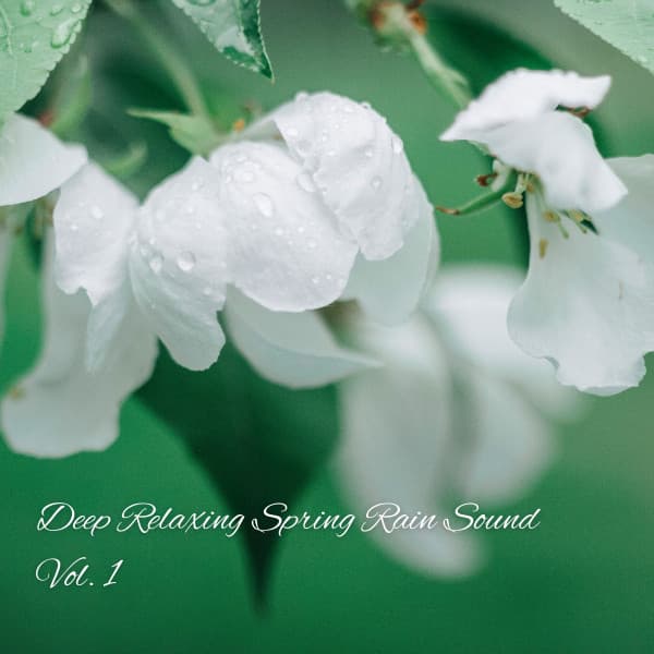 Deep Relaxing Spring Rain Sound Vol. 1 - Relaxing Music