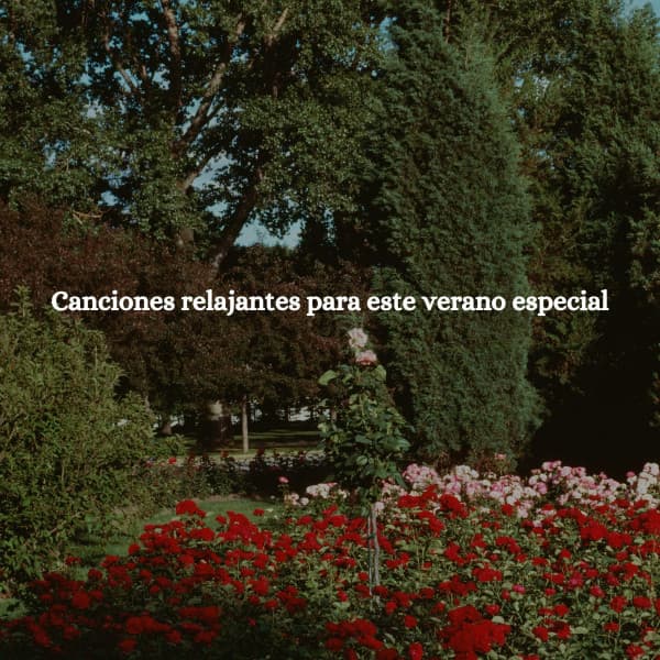Canciones relajantes para este verano especial - Happy Jazz Beats