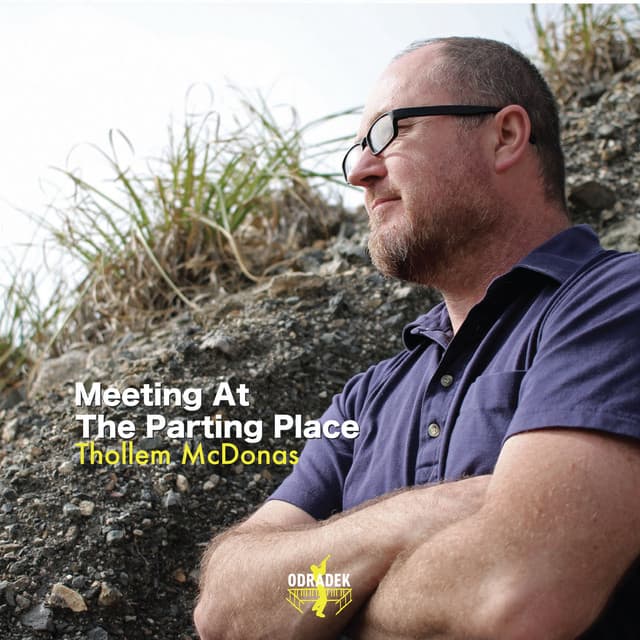 Meeting at the Parting Place - Thollem Mcdonas