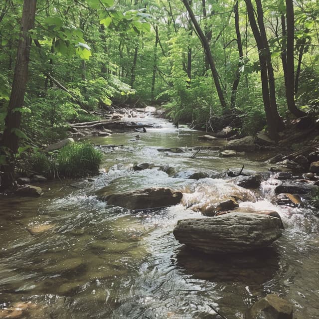 Arroyos Juguetones: Melodías Alegres Para Perros - Musica Relajante para Perros Clasico