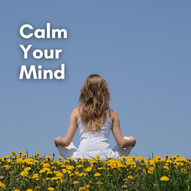 Calm Your Mind - Calm Music Zone