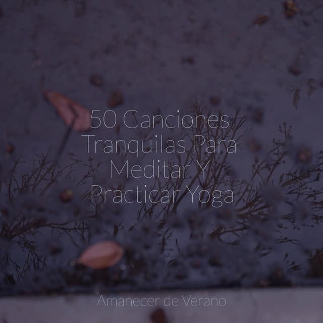 50 Canciones Tranquilas Para Meditar Y Practicar Yoga - Instrumental