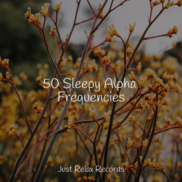 50 Sleepy Alpha Frequencies - Lullabies for Deep Meditation