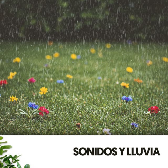 Sonidos y Lluvia: Canto a la lluvia - Cat Music Therapy