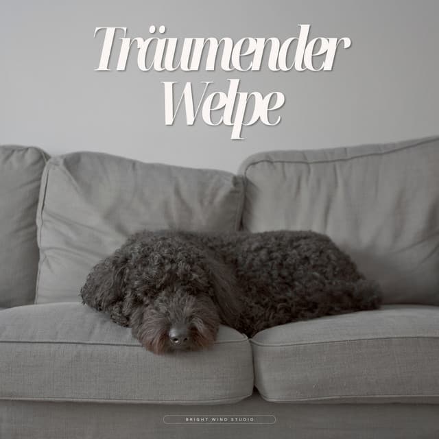 Träumender Welpe - Beruhigende Musik für Hunde
