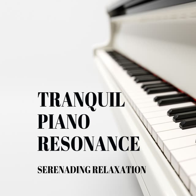 Tranquil Piano Resonance: Serenading Relaxation - Piano Covers