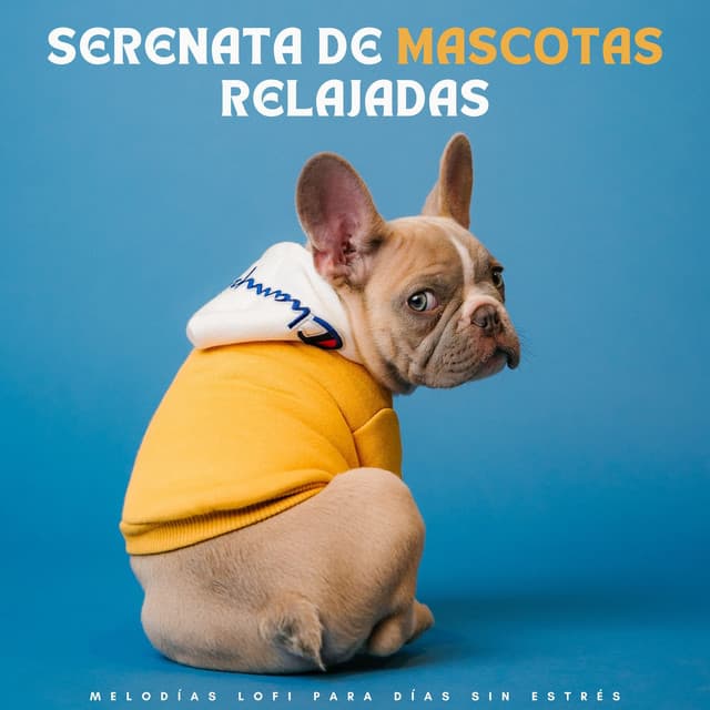 Serenata De Mascotas Relajadas: Melodías Lofi Para Días Sin Estrés - Lofi triste
