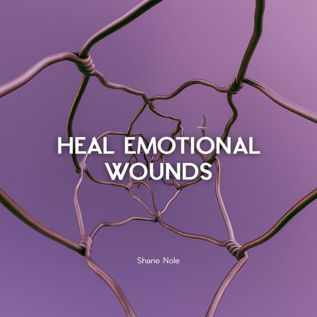 Heal Emotional Wounds - Shane Nole