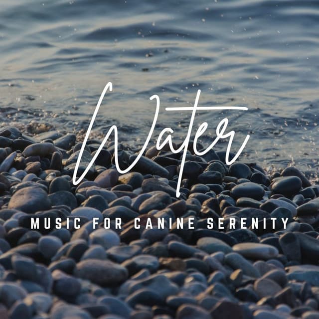 Music for Canine Serenity: Waterside Harmony - Zama Sanctuary