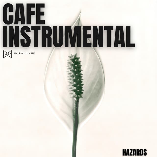Hazards - Cafe Instrumental