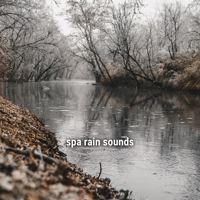 Rain Sounds ACE
