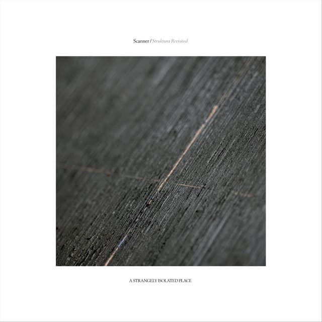 Struktura Revisited - Scanner