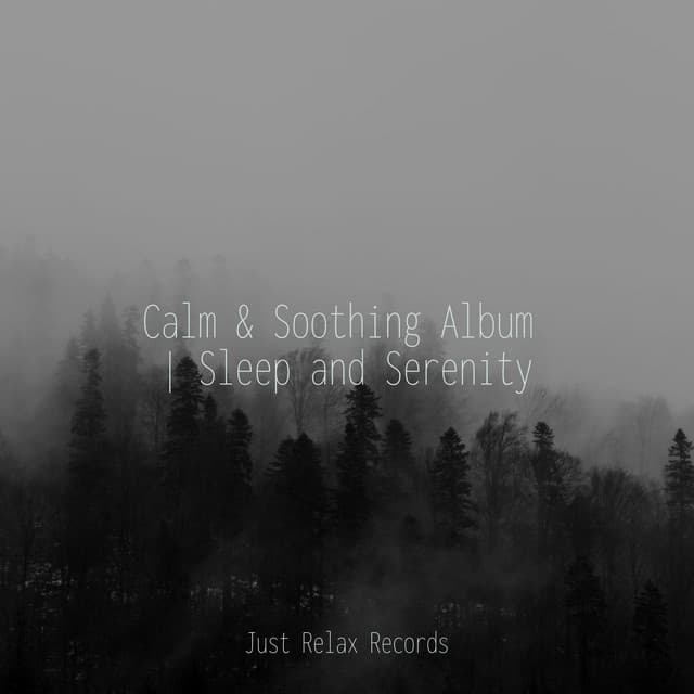 Calm & Soothing Album | Sleep and Serenity - Bird Sounds