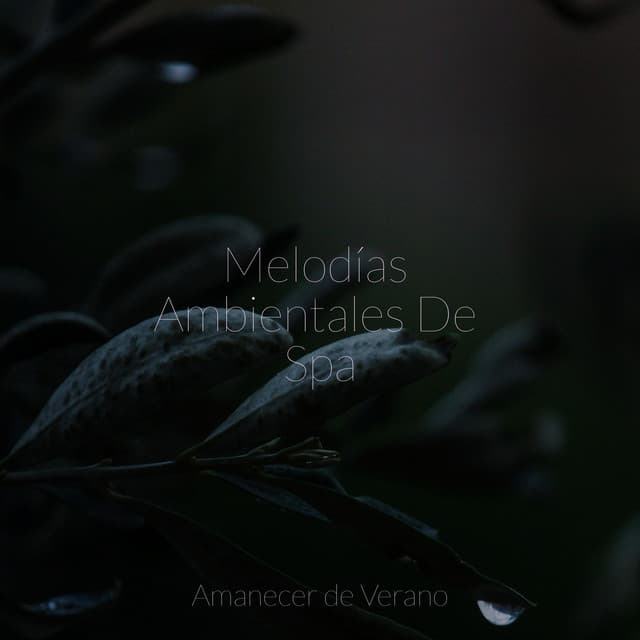 Melodías Ambientales De Spa - Sonidos de la Naturaleza Relajacion