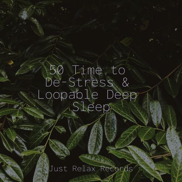 50 Time to De-Stress & Loopable Deep Sleep - Study Music & Sounds