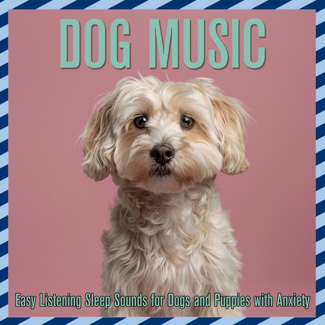 Dog Music: Easy Listening Sleep Sounds for Dogs and Puppies with Anxiety - Relaxmydog