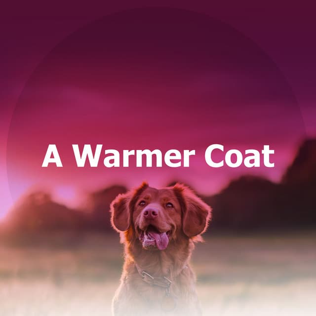 A Warmer Coat - Puppy Music