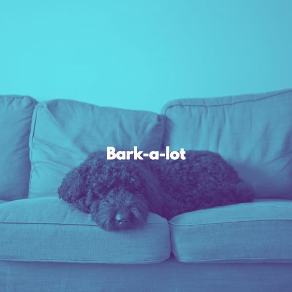 Bark-a-lot - Relaxing Music Orchestra