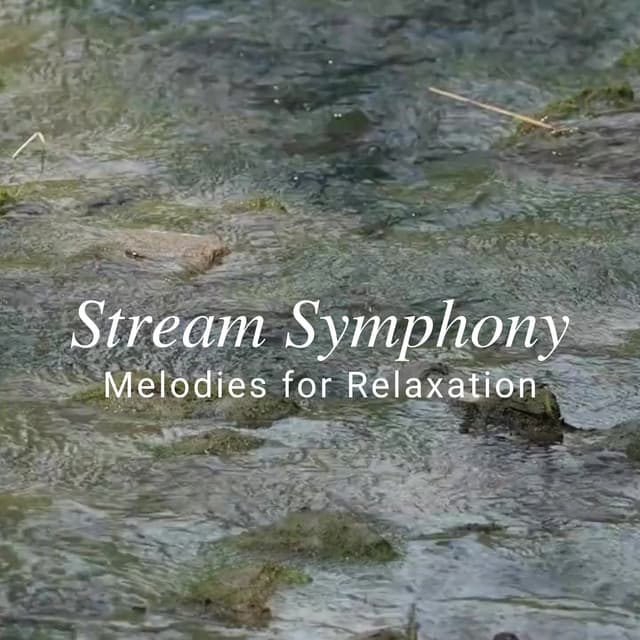 Stream Symphony: Melodies for Relaxation - Calming Beats