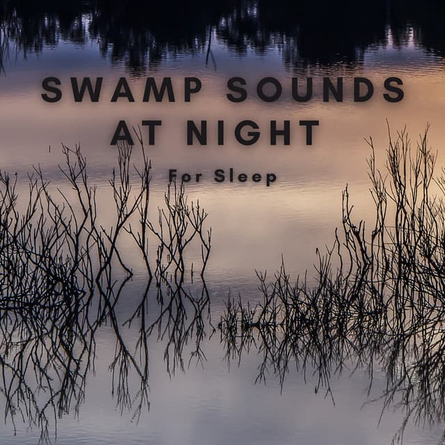 Swamp Sounds at Night for Sleep - Natural Sounds Selections
