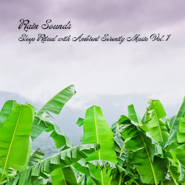 Rain Sounds: Sleep Ritual with Ambient Serenity Music Vol. 1 - Worldwide Nature Studios