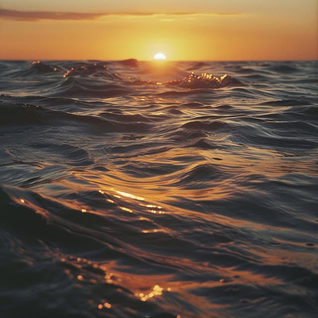 Melodías Calmantes Para Mascotas: Música Ambiental - Timbre cerebral