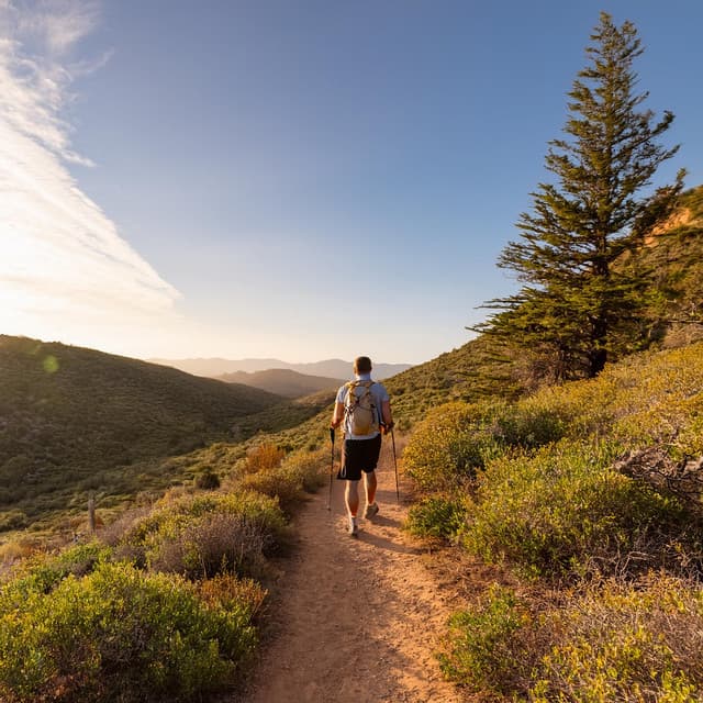 Cubiertas para pianos