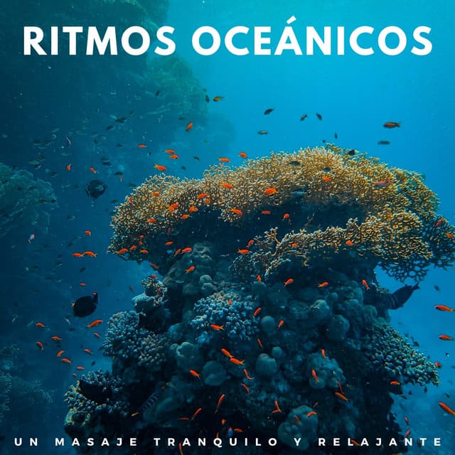 Ritmos Oceánicos: Un Masaje Tranquilo Y Relajante - Hacedores de océanos
