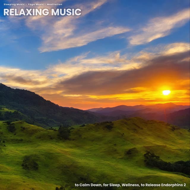 Relaxing Music to Calm Down, for Sleep, Wellness, to Release Endorphins 2 - Sleeping Music