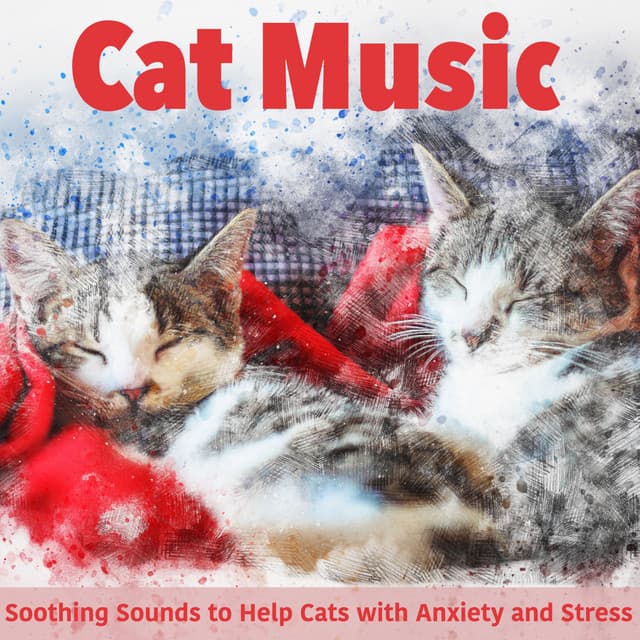 Cat Music: Soothing Sounds to Help Cats with Anxiety and Stress - RelaxMyCat