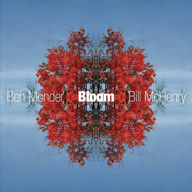 Bloom - Ben Monder