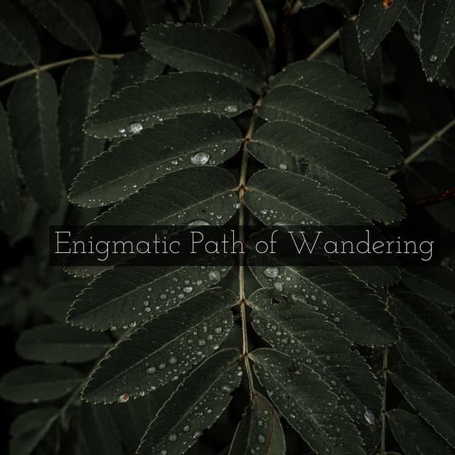 Enigmatic Path of Wandering - Spiritloom