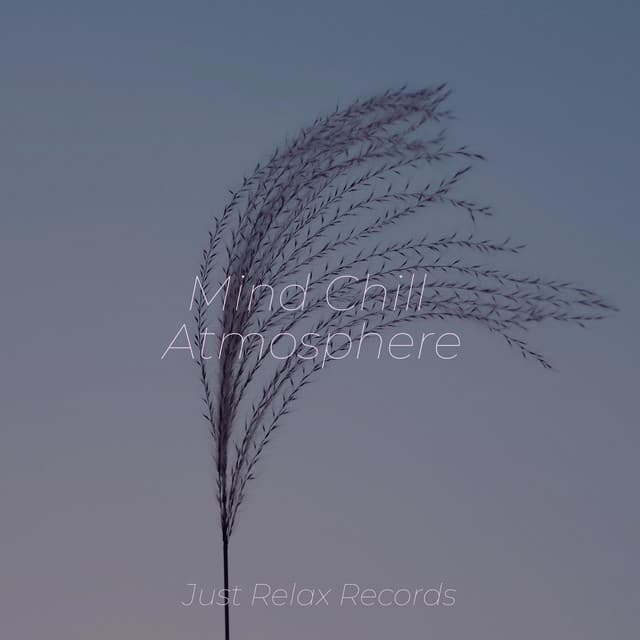 Mind Chill Atmosphere - Relaxing Music