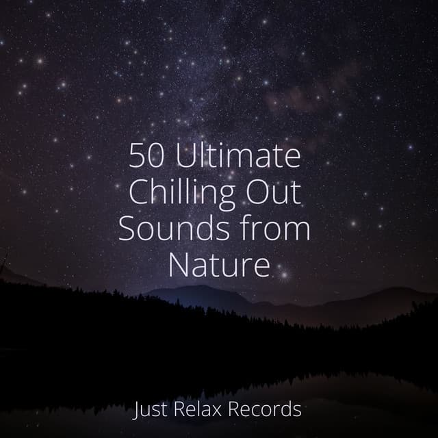 50 Ultimate Chilling Out Sounds from Nature - Music For Absolute Sleep