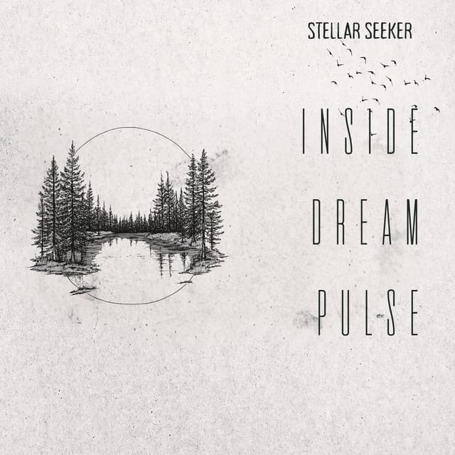 Inside Dream Pulse - Stellar Seeker