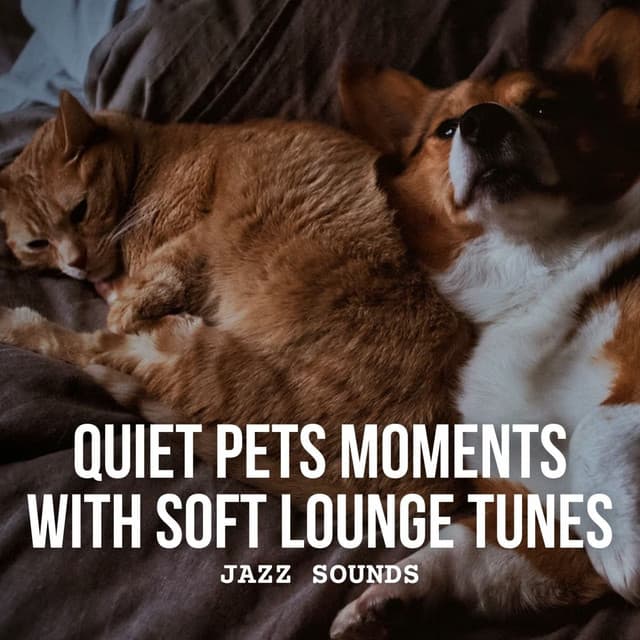 Jazz Sounds: Quiet Pets Moments with Soft Lounge Tunes - Relaxing Morning Jazz Playlist
