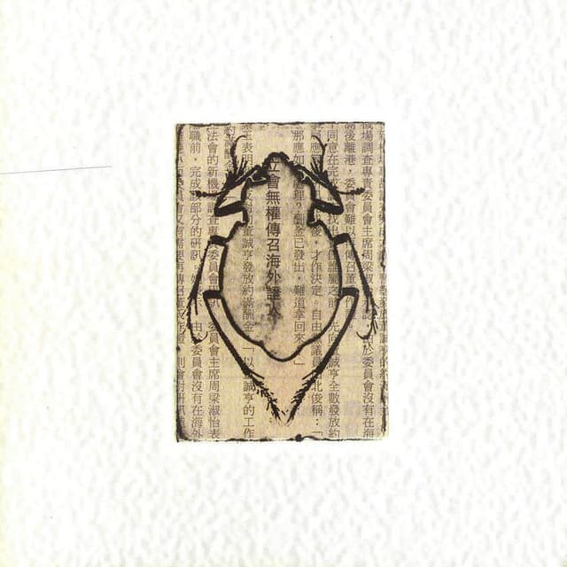 Joue Free - Bernard Falaise