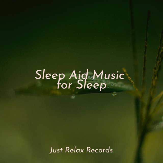 Sleep Aid Music for Sleep - Calm Music for Studying
