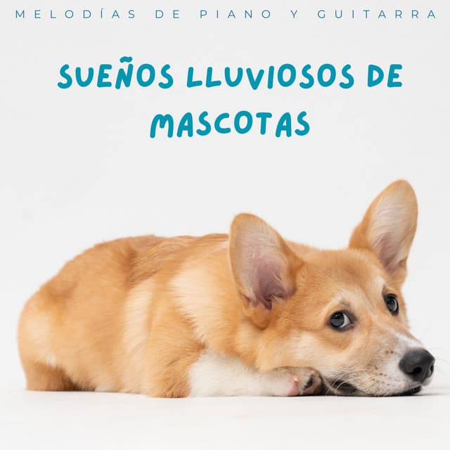 Melodías De Piano Y Guitarra: Sueños Lluviosos De Mascotas - Piano Jazz Paris