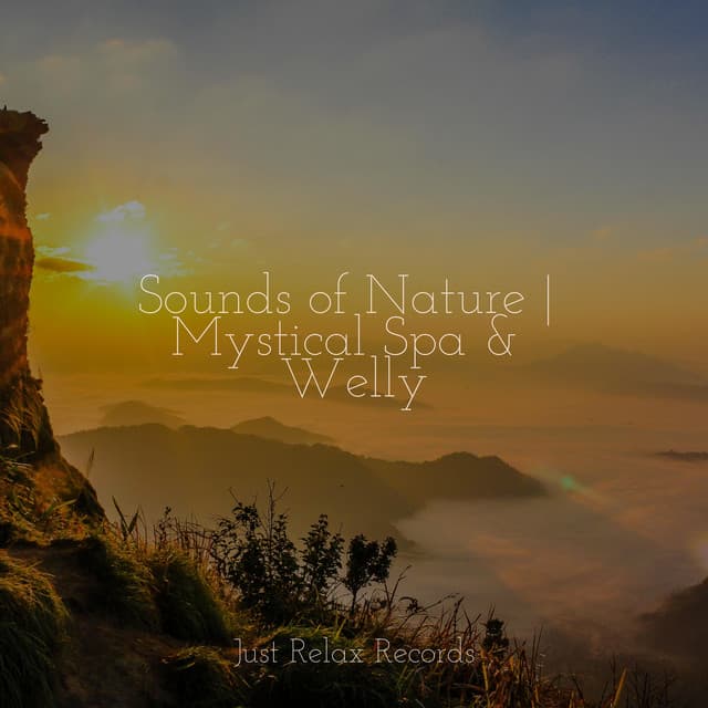 Sounds of Nature | Mystical Spa & Welly - Ambiente