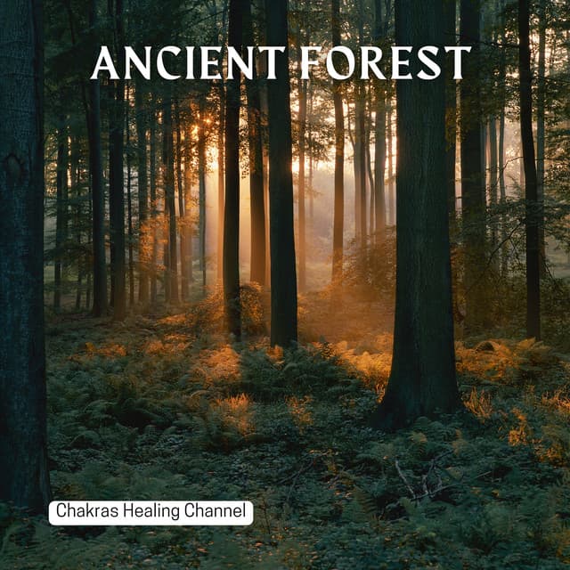 Ancient Forest: Shamanic Resonance - Chakras Healing Channel