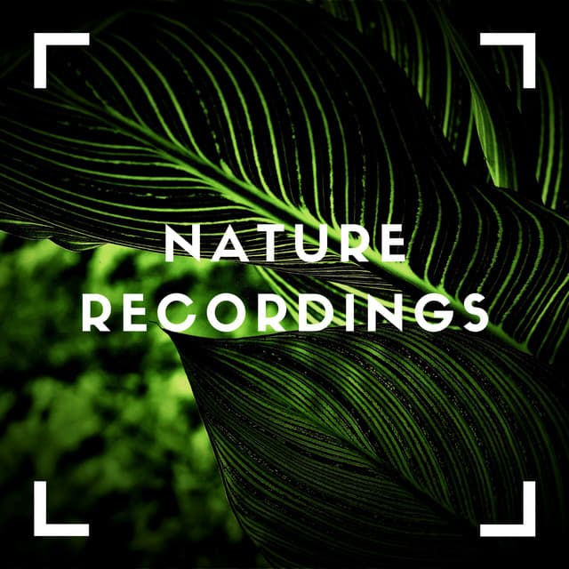 Green Vibes for Relaxing - Natural Sample Makers