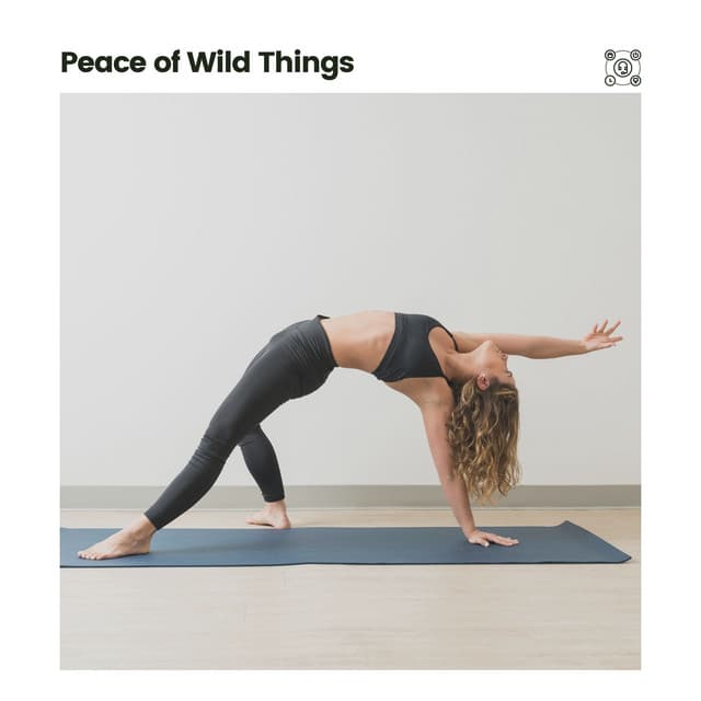 Peace of Wild Things - Best Relaxing Spa