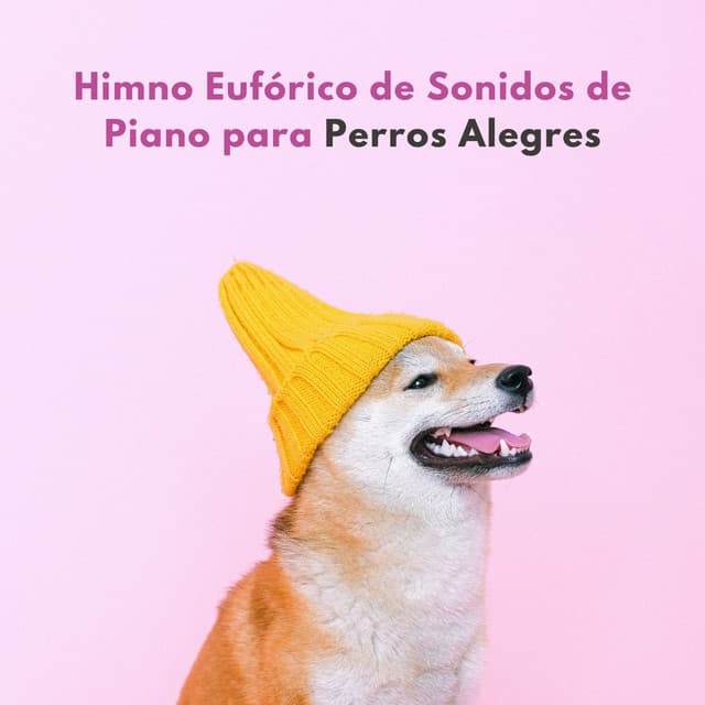 Himno Eufórico De Sonidos De Piano Para Perros Alegres - Relajación Piano