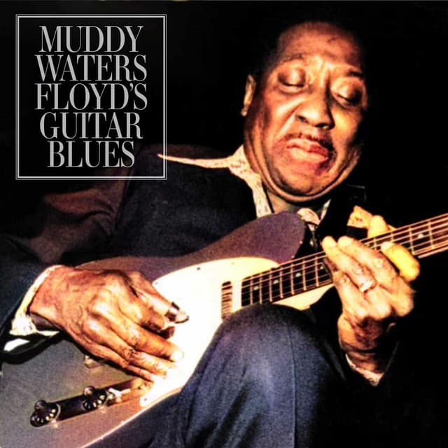 Floyd's Guitar Blues - Muddy Waters