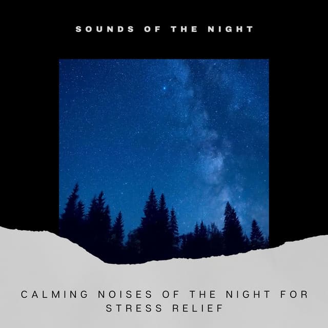 Calming Noises of the Night for Stress Relief - Sounds of the Night