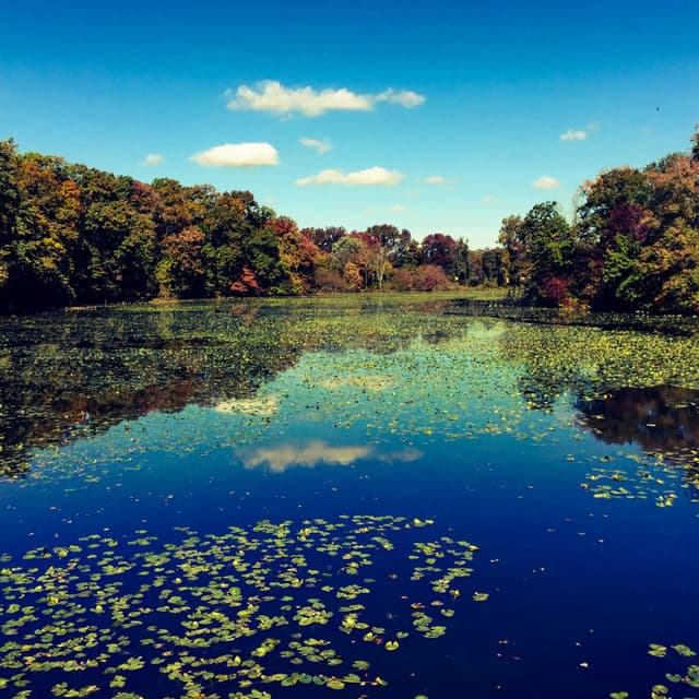 Quiet Respite: River's Ephemeral Tranquil Retreat - Energy Orbiting