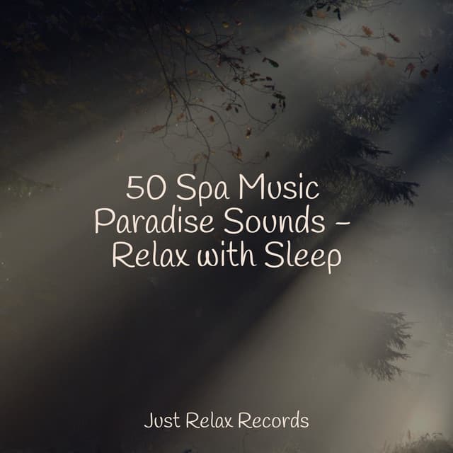 50 Spa Music Paradise Sounds - Relax with Sleep - Healing Yoga Meditation Music Consort